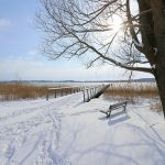 Ostseefjord Schlei – winterliche Reise nach Schleswig  